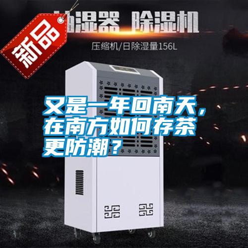 又是一年回南天，在南方如何存茶更防潮？