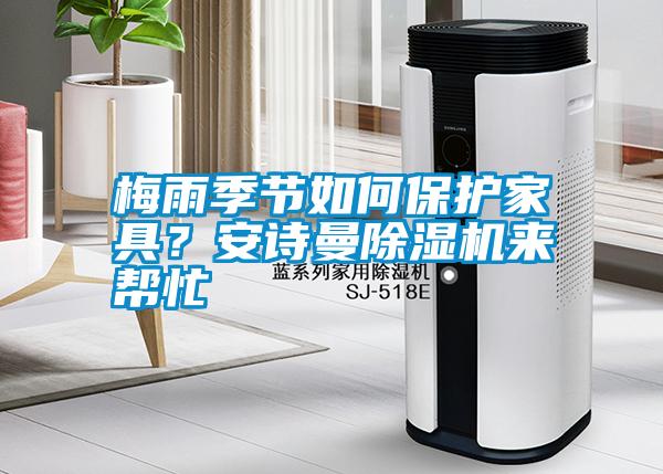 梅雨季節(jié)如何保護(hù)家具？安詩(shī)曼除濕機(jī)來(lái)幫忙