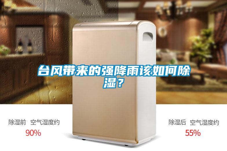 臺風帶來的強降雨該如何除濕？
