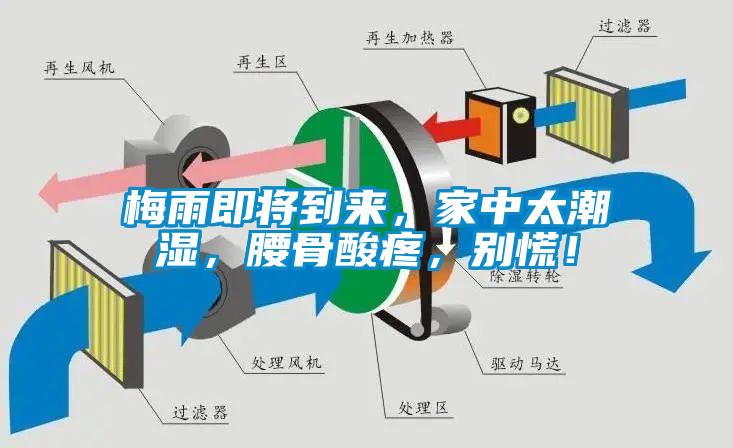 梅雨即將到來，家中太潮濕，腰骨酸疼，別慌！