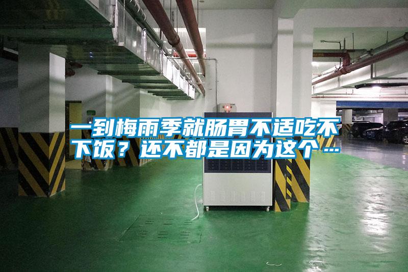 一到梅雨季就腸胃不適吃不下飯？還不都是因?yàn)檫@個…