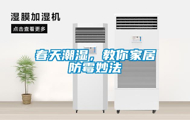 春天潮濕，教你家居防霉妙法