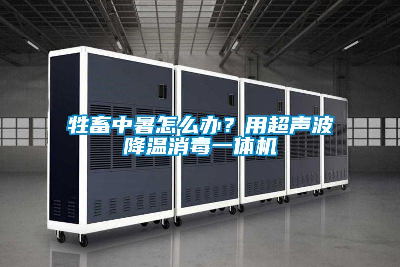 牲畜中暑怎么辦？用超聲波降溫消毒一體機(jī)
