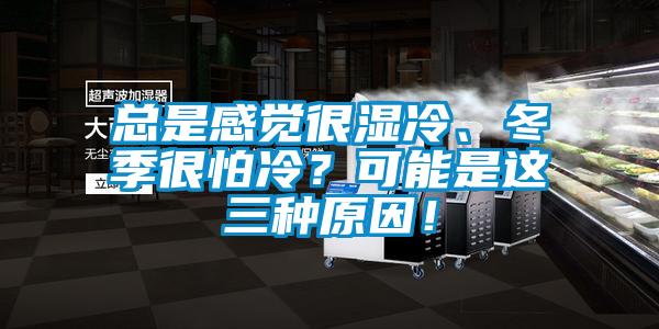 總是感覺很濕冷、冬季很怕冷？可能是這三種原因！