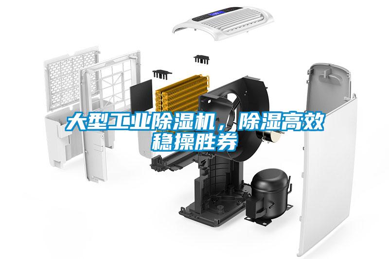 大型工業(yè)除濕機，除濕高效穩(wěn)操勝券