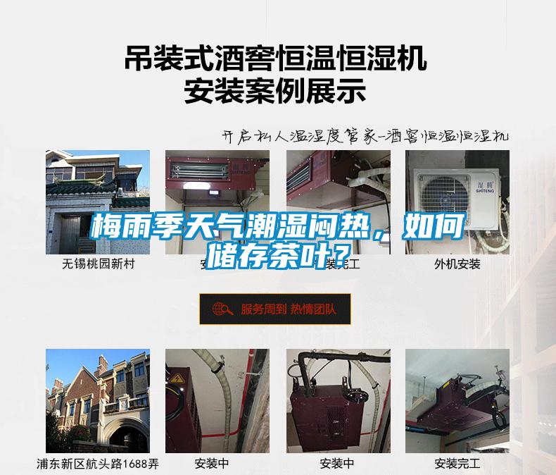 梅雨季天氣潮濕悶熱，如何儲存茶葉？
