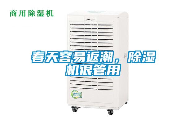 春天容易返潮，除濕機(jī)很管用