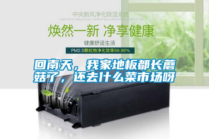 回南天，我家地板都長蘑菇了，還去什么菜市場呀