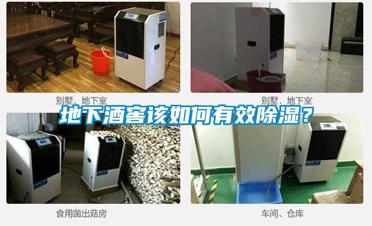 地下酒窖該如何有效除濕？