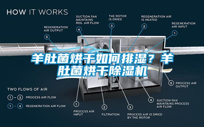 羊肚菌烘干如何排濕？羊肚菌烘干除濕機(jī)