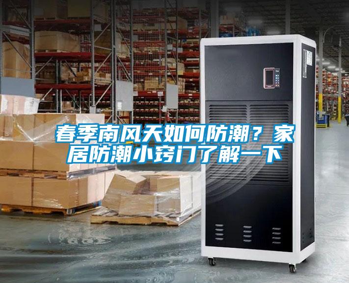 春季南風(fēng)天如何防潮？家居防潮小竅門(mén)了解一下