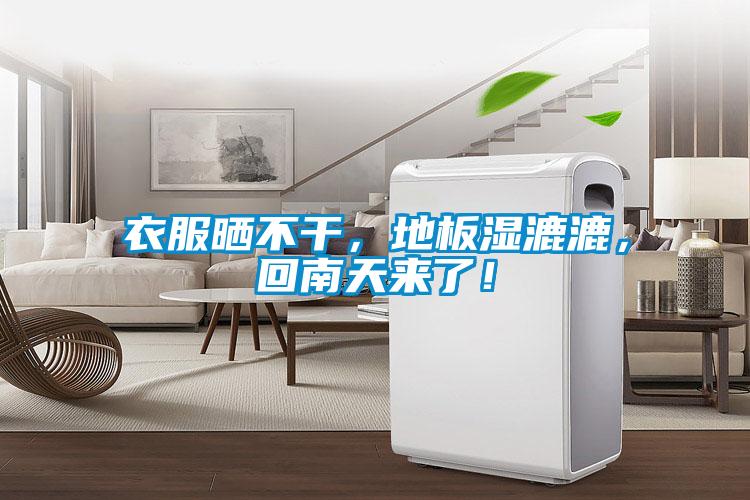 衣服曬不干，地板濕漉漉，回南天來了！