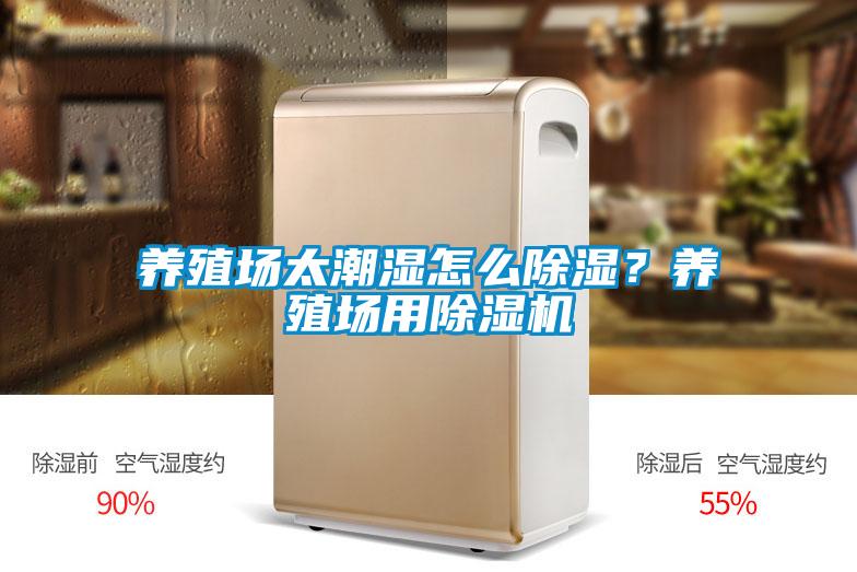 養(yǎng)殖場太潮濕怎么除濕？養(yǎng)殖場用除濕機(jī)