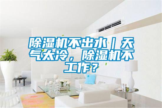 除濕機(jī)不出水｜天氣太冷，除濕機(jī)不工作？