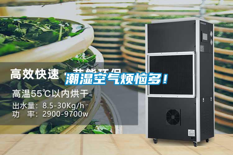 潮濕空氣煩惱多！