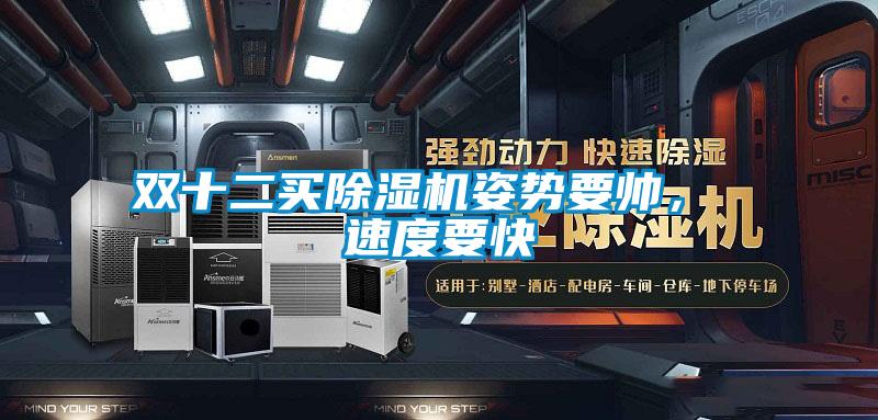 雙十二買除濕機(jī)姿勢(shì)要帥， 速度要快