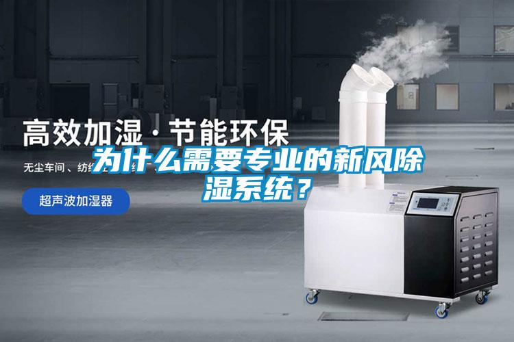 為什么需要專業(yè)的新風除濕系統(tǒng)？