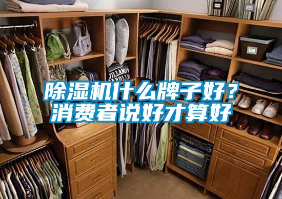 除濕機什么牌子好？消費者說好才算好