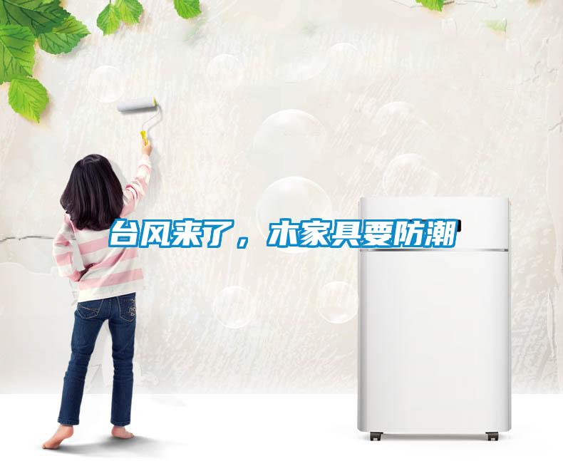 臺(tái)風(fēng)來(lái)了，木家具要防潮