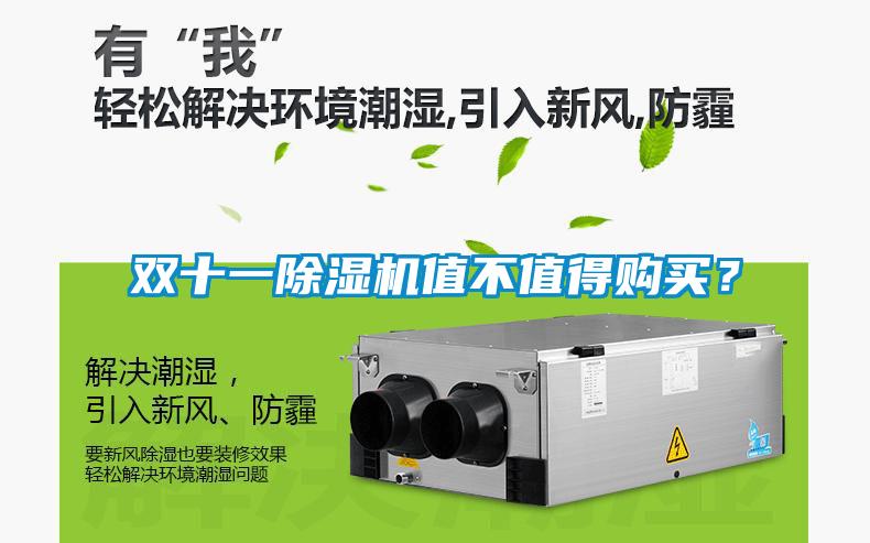 雙十一除濕機值不值得購買？