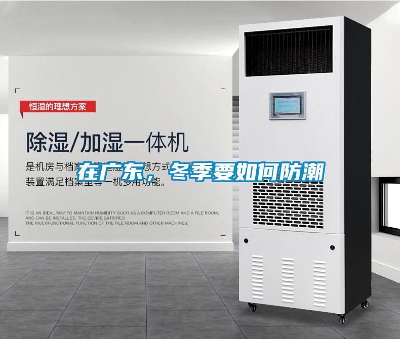 在廣東，冬季要如何防潮