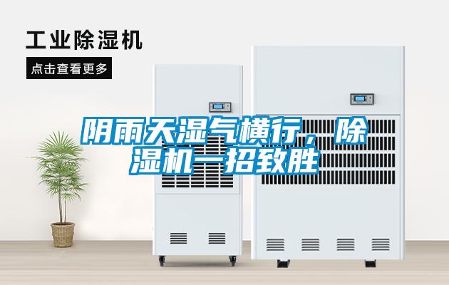 陰雨天濕氣橫行，除濕機一招致勝