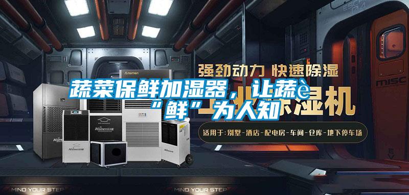 蔬菜保鮮加濕器，讓蔬菜“鮮”為人知