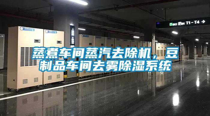 蒸煮車間蒸汽去除機(jī)，豆制品車間去霧除濕系統(tǒng)