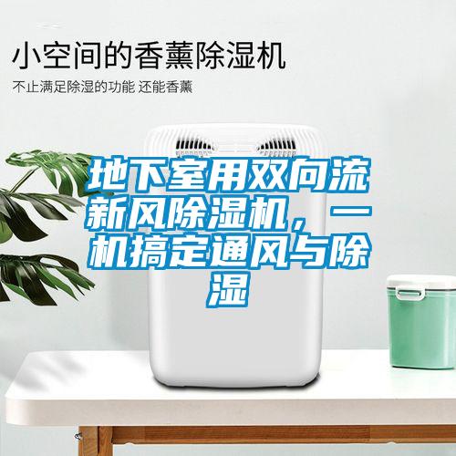 地下室用雙向流新風(fēng)除濕機，一機搞定通風(fēng)與除濕