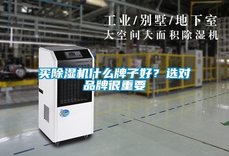 買除濕機(jī)什么牌子好？選對品牌很重要