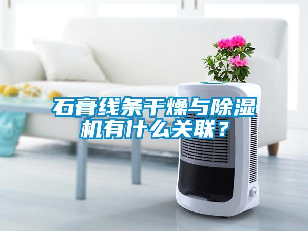 石膏線條干燥與除濕機(jī)有什么關(guān)聯(lián)？
