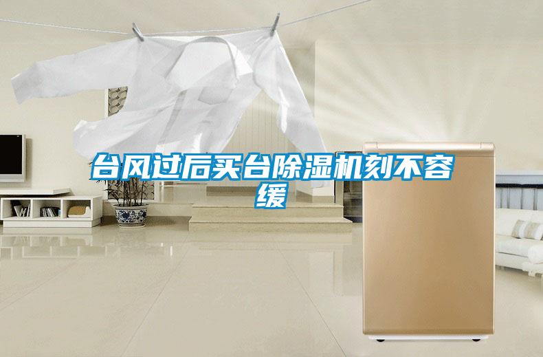 臺(tái)風(fēng)過后買臺(tái)除濕機(jī)刻不容緩
