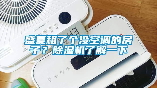 盛夏租了個沒空調(diào)的房子？除濕機了解一下