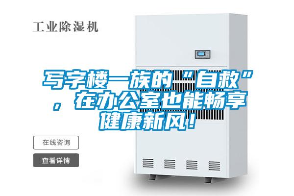 寫字樓一族的“自救”，在辦公室也能暢享健康新風(fēng)！