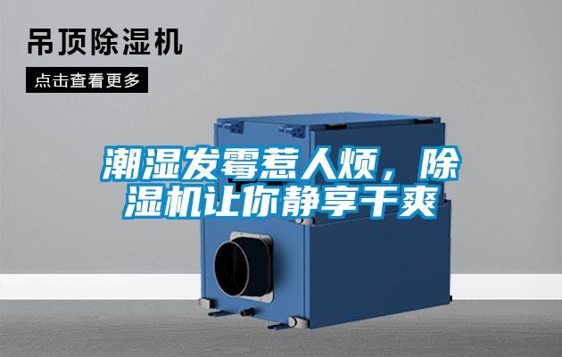 潮濕發(fā)霉惹人煩，除濕機讓你靜享干爽
