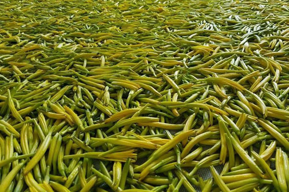 無硫金針菜烘干如何保持品相？不發(fā)黑？