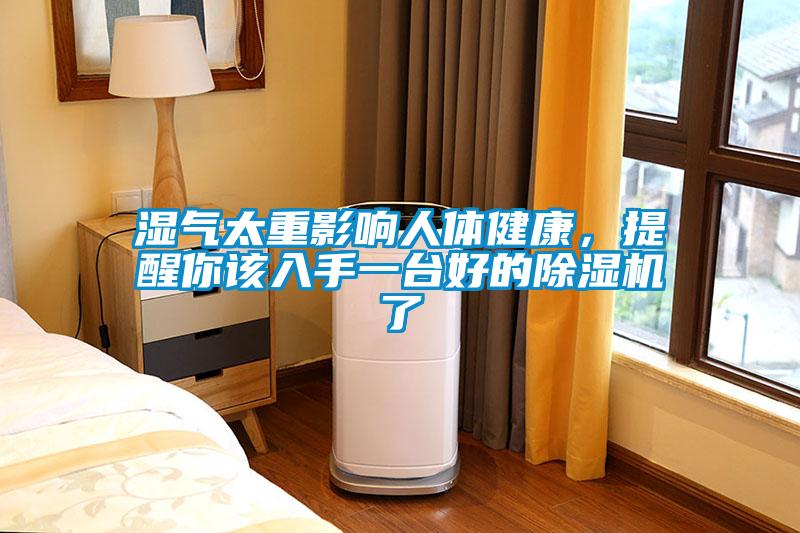 濕氣太重影響人體健康，提醒你該入手一臺好的除濕機(jī)了