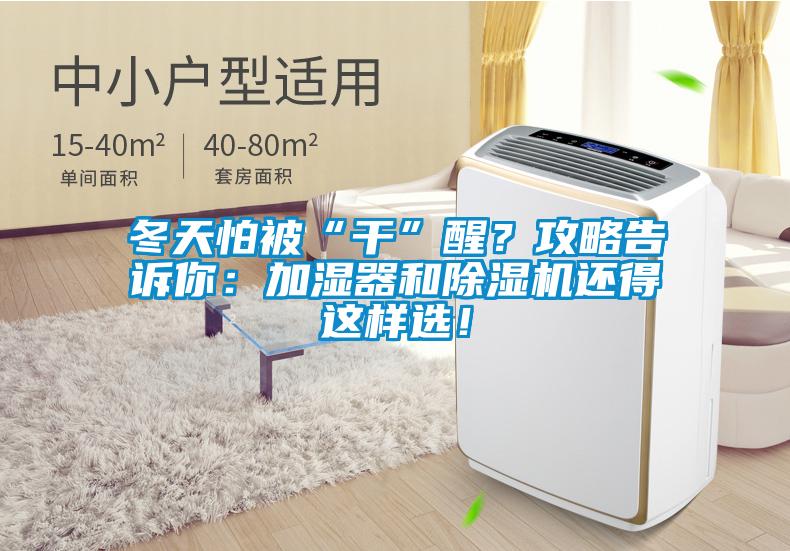 冬天怕被“干”醒？攻略告訴你：加濕器和除濕機(jī)還得這樣選！
