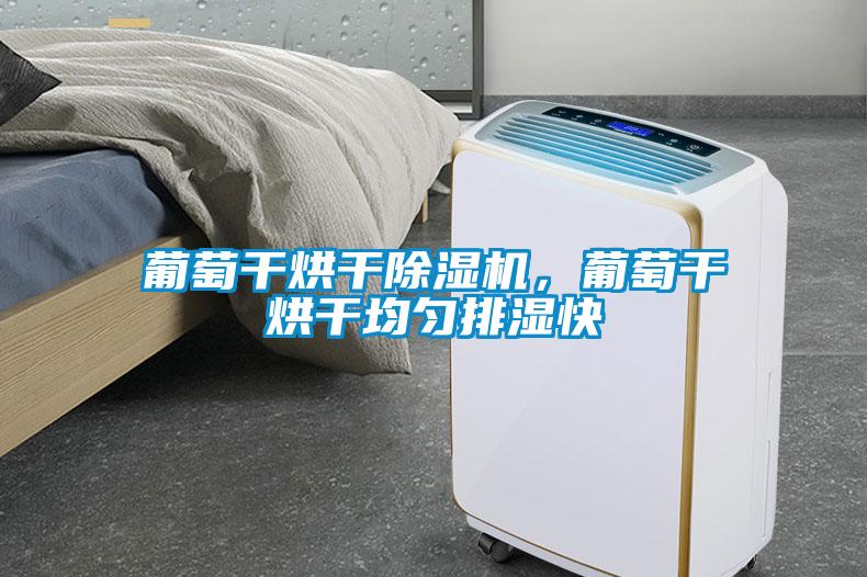 葡萄干烘干除濕機(jī)，葡萄干烘干均勻排濕快