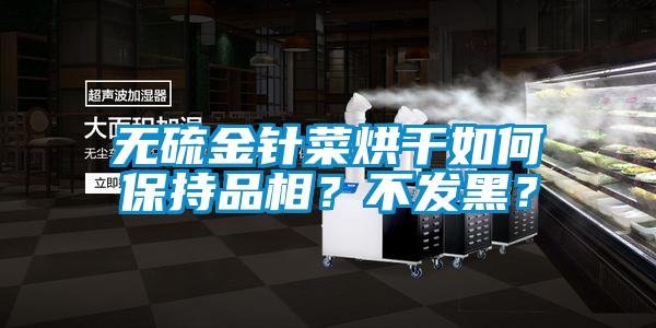 無硫金針菜烘干如何保持品相？不發(fā)黑？