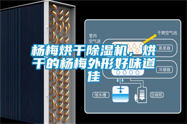 楊梅烘干除濕機(jī)，烘干的楊梅外形好味道佳
