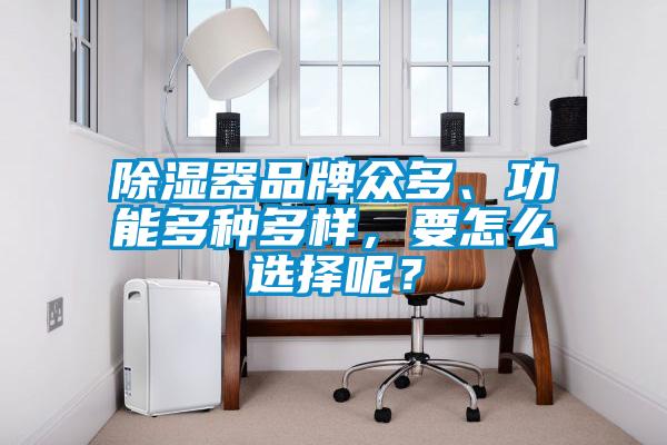 除濕器品牌眾多、功能多種多樣，要怎么選擇呢？