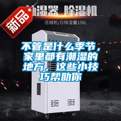 不管是什么季節(jié)，家里都有潮濕的地方，這些小技巧幫助你