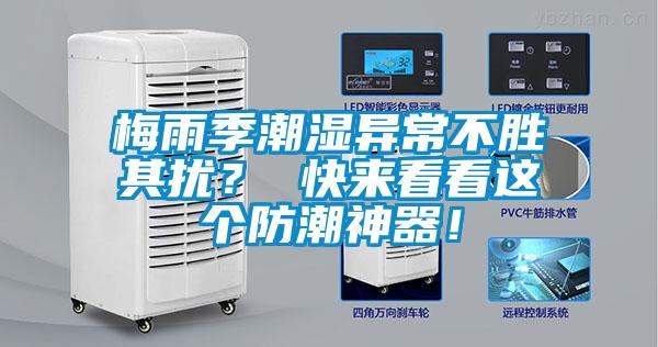 梅雨季潮濕異常不勝其擾？ 快來看看這個防潮神器！