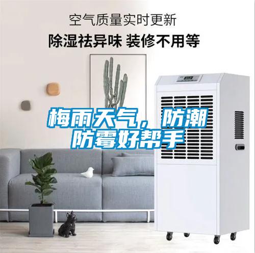 梅雨天氣，防潮防霉好幫手