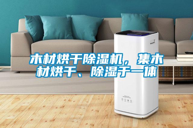 木材烘干除濕機(jī)，集木材烘干、除濕于一體