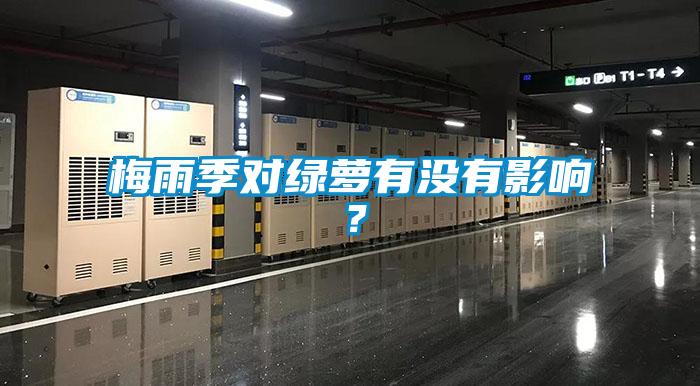 梅雨季對綠蘿有沒有影響？