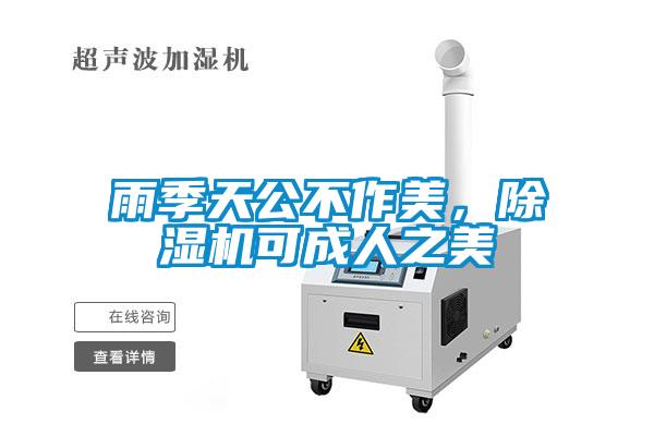 雨季天公不作美，除濕機可成人之美