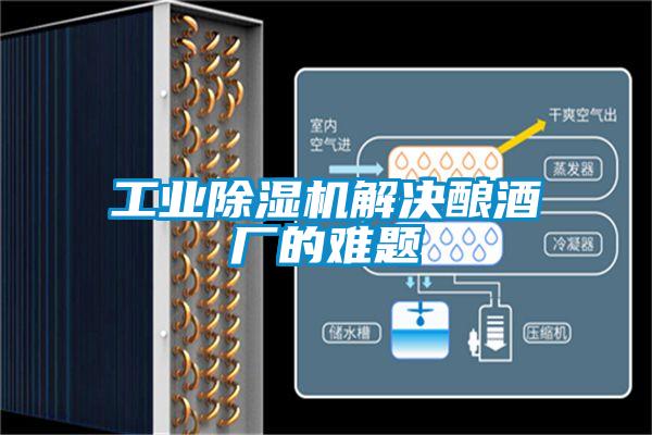 工業(yè)除濕機解決釀酒廠的難題