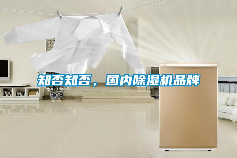 知否知否，國(guó)內(nèi)除濕機(jī)品牌